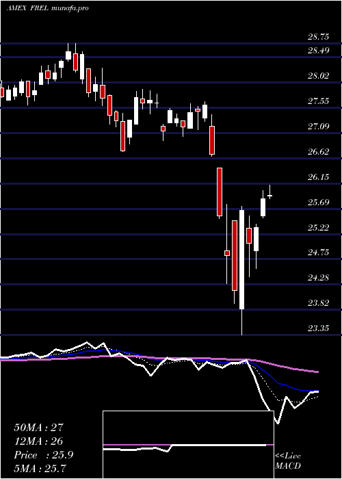  Daily chart FidelityMsci