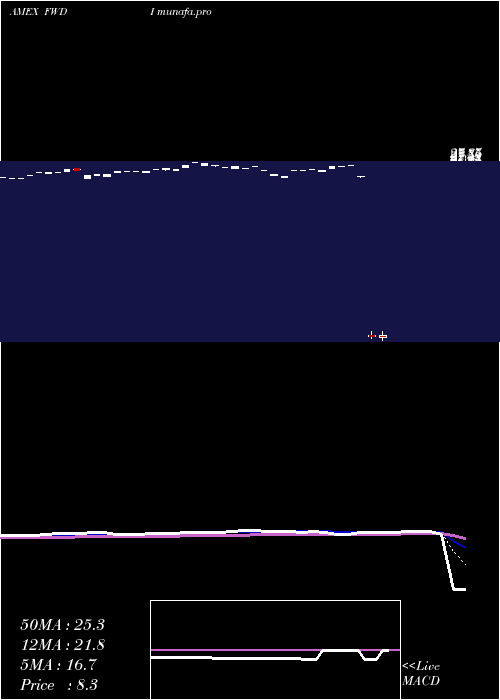  Daily chart MadronaInternational