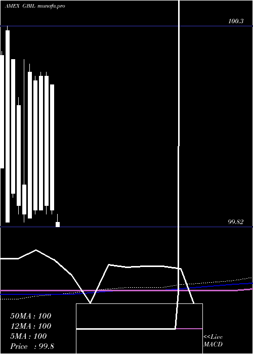 monthly chart GsTreasuryaccess