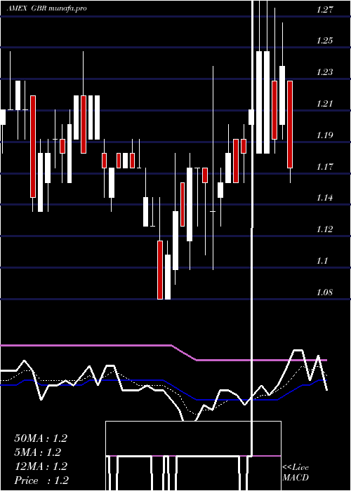 Daily chart NewConcept