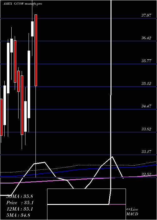  monthly chart PacerGlobal