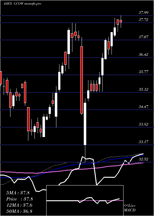 weekly chart PacerGlobal