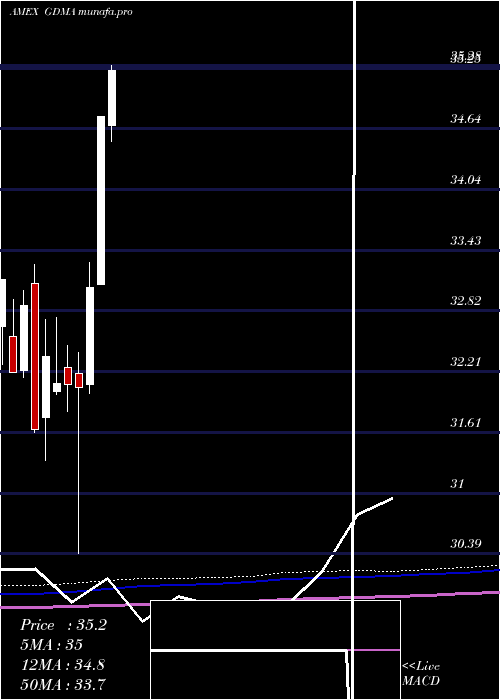 monthly chart GadsdenaDynamica