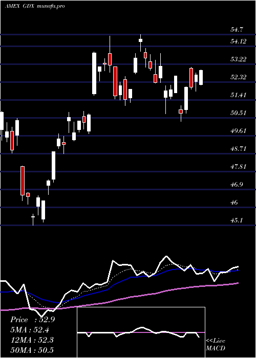 Daily chart GoldMiners