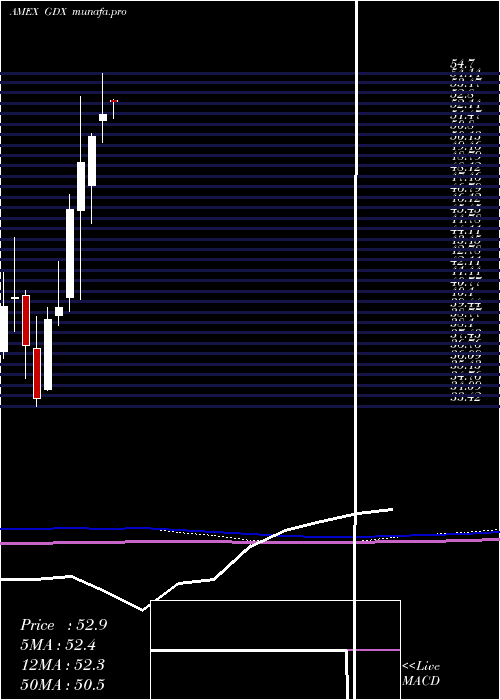  monthly chart GoldMiners