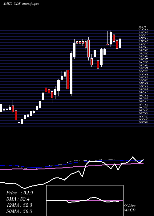 weekly chart GoldMiners