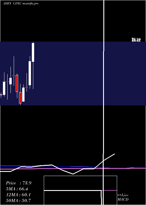  monthly chart MicrosectorsGold