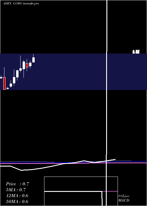 monthly chart GoldResource