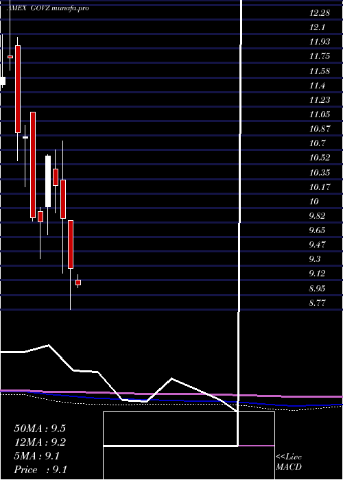 monthly chart Ishares25