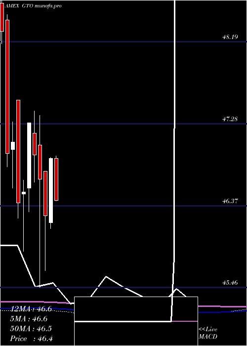 monthly chart GuggenheimTotal