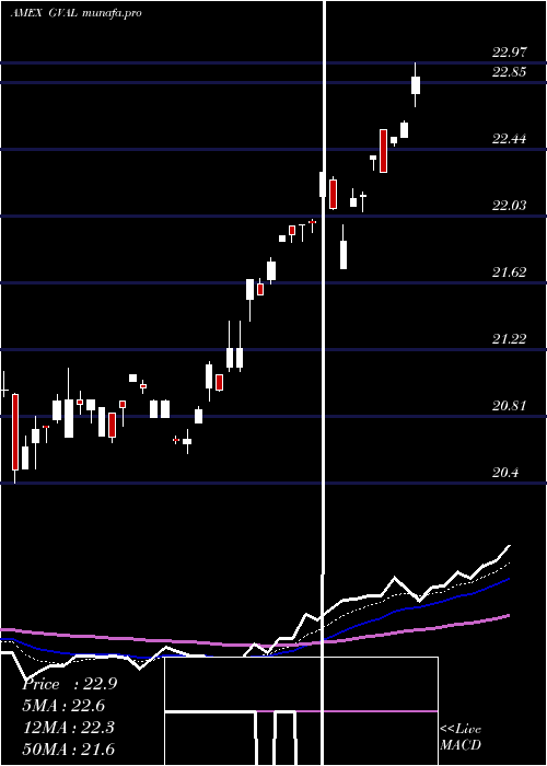  Daily chart CambriaGlobal