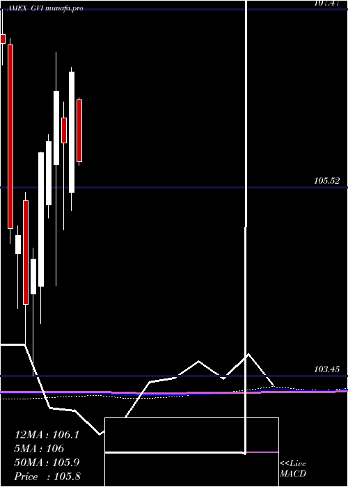 monthly chart IntermGovt