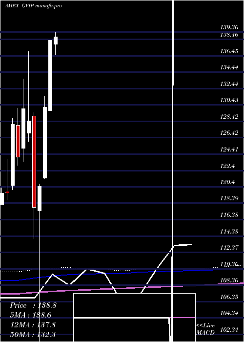 monthly chart GsHedge