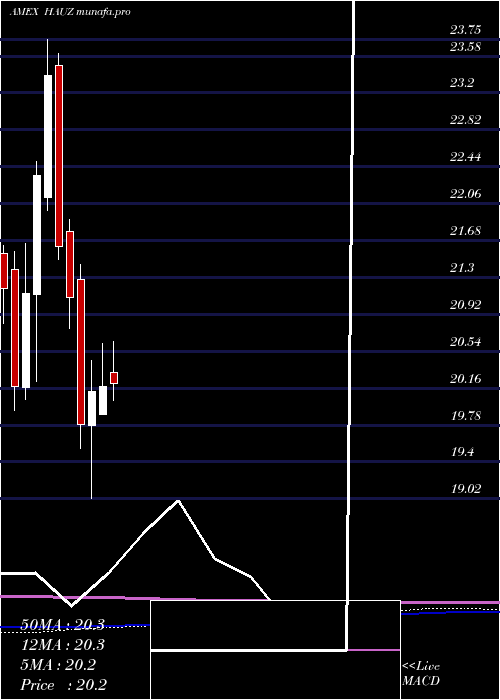  monthly chart XtrackersInternational