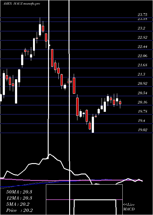  weekly chart XtrackersInternational