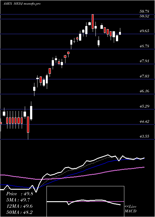 Daily chart IntlHedged