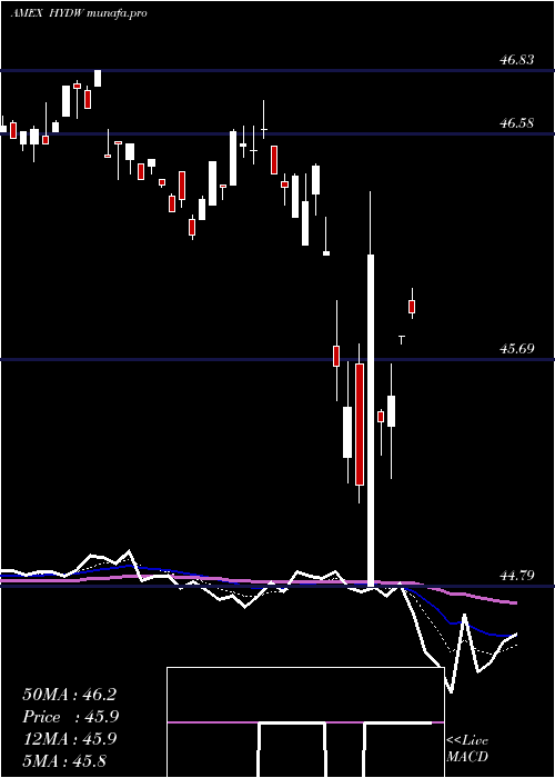  Daily chart XtrackersLow