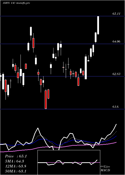  Daily chart GoldTrust