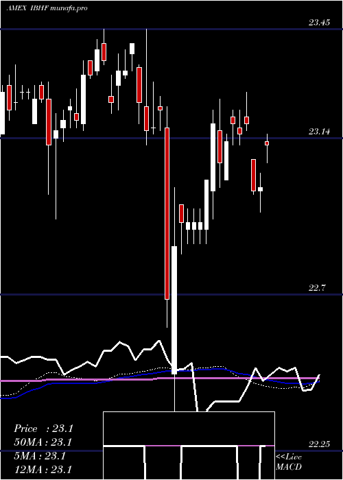 weekly chart IsharesIbonds