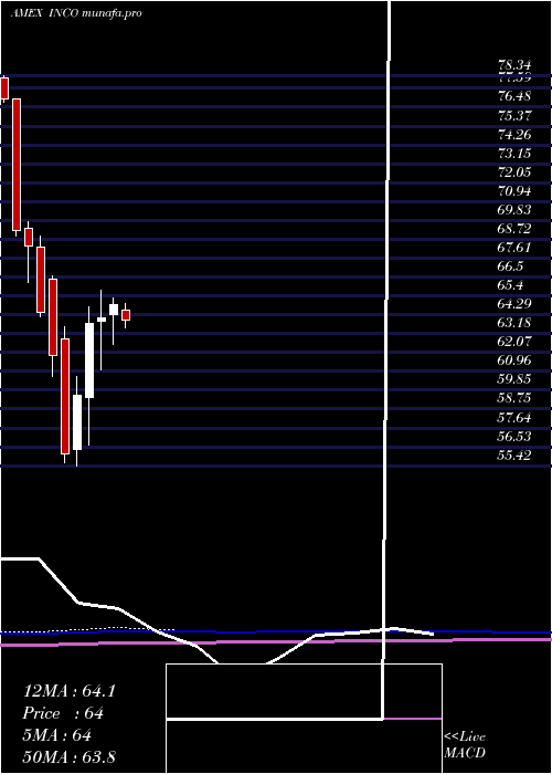 monthly chart IndiaConsumer