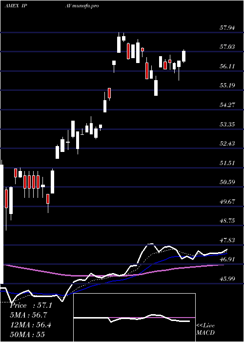  Daily chart PurefundsIse