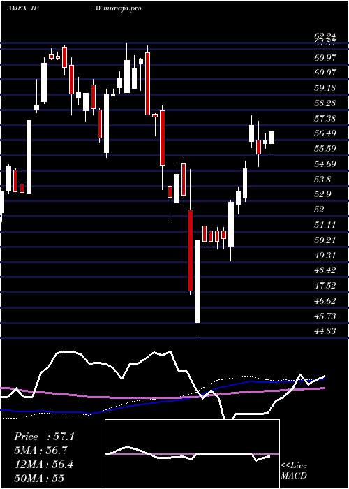  weekly chart PurefundsIse