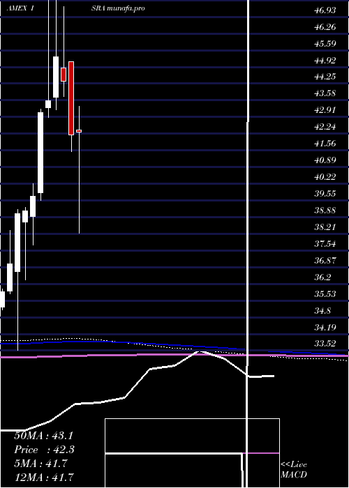  monthly chart MarketVectors