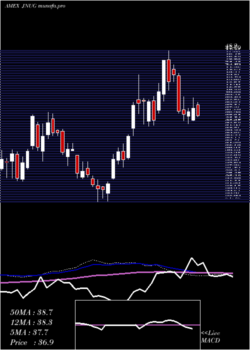  weekly chart DirexionDaily