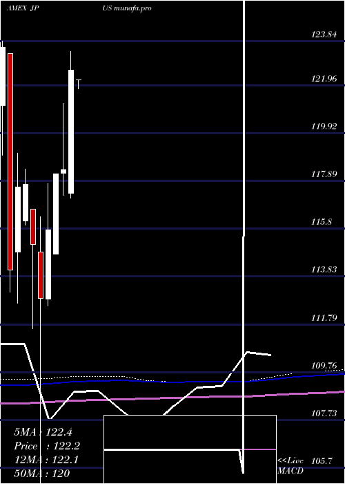 monthly chart JpmorganDiversified