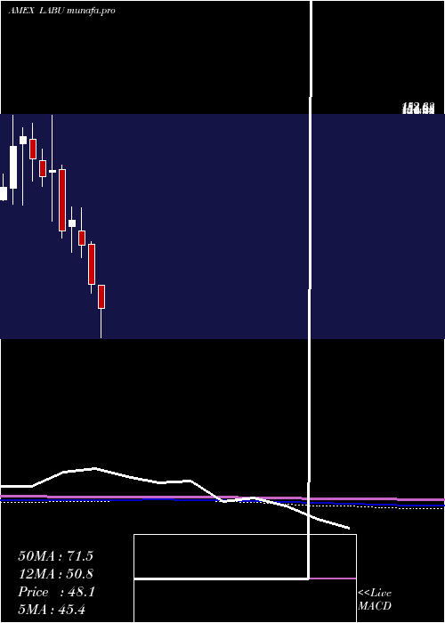  monthly chart DirexionDaily