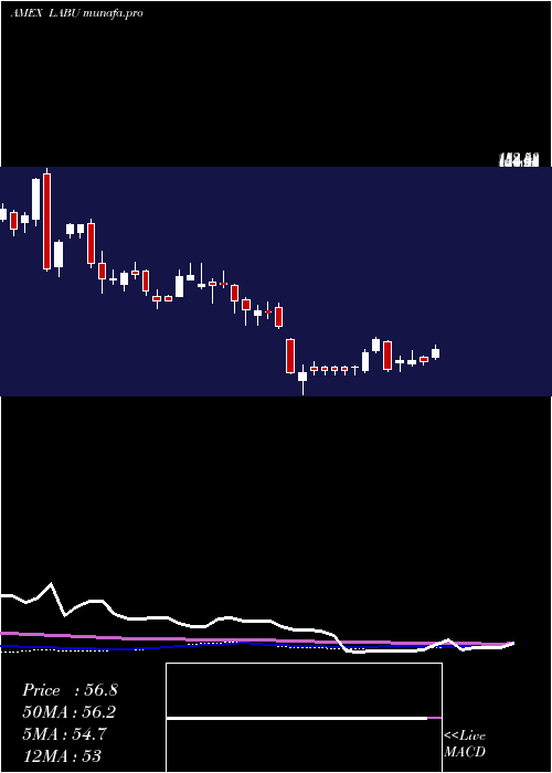 weekly chart DirexionDaily
