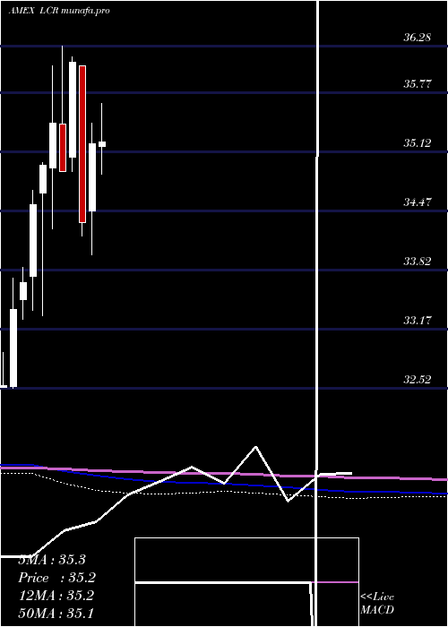  monthly chart LeutholdCore