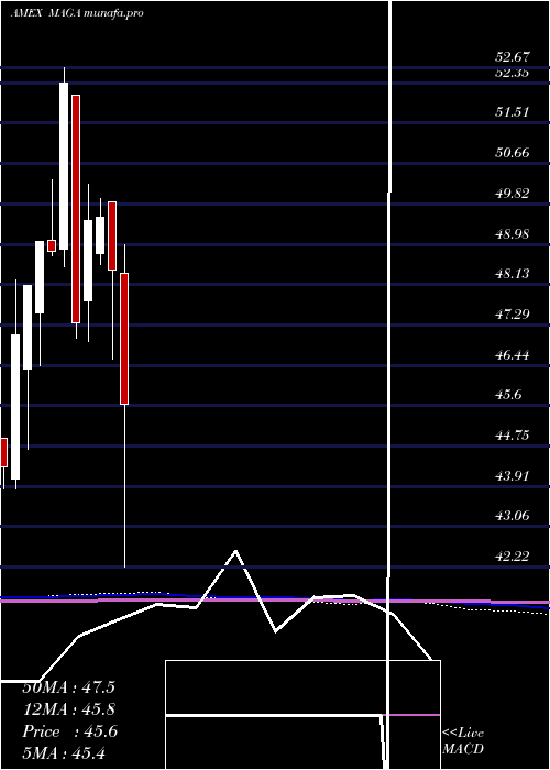  monthly chart PointBridge