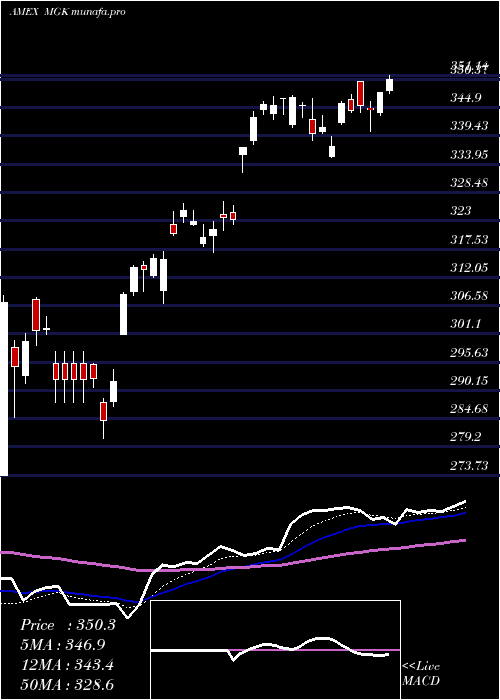  Daily chart Megacap300