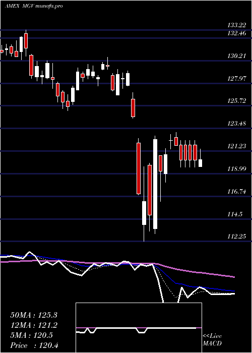  Daily chart Megacap300