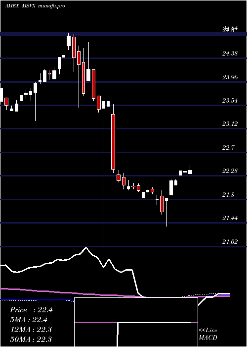  weekly chart LhaMarket