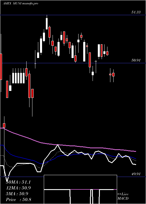 Daily chart IntermediateMuni