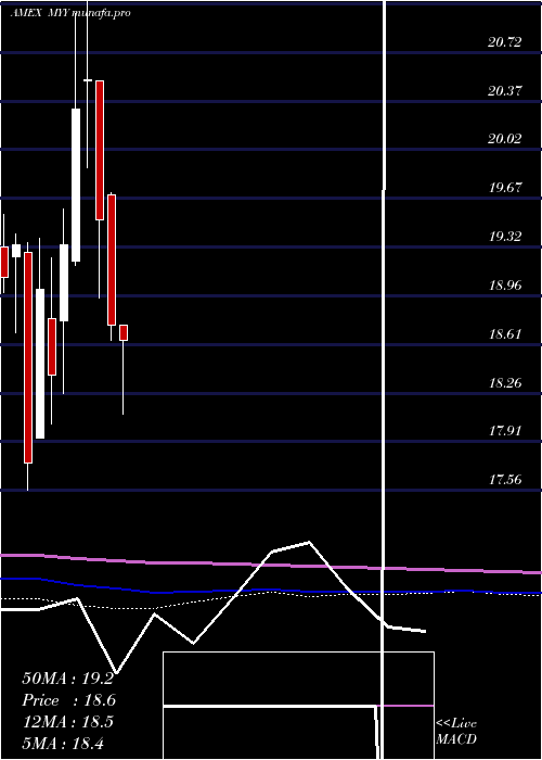 monthly chart ShortMidcap