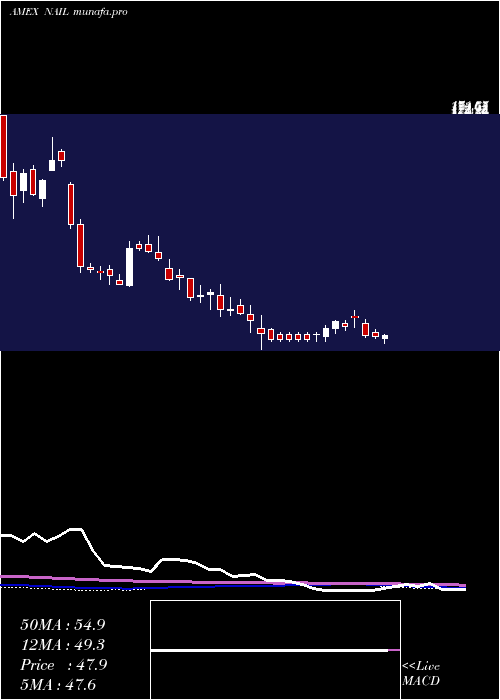 weekly chart DirexionDaily