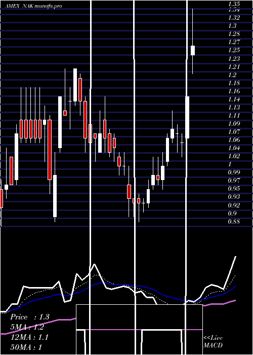 Daily chart NorthernDynasty