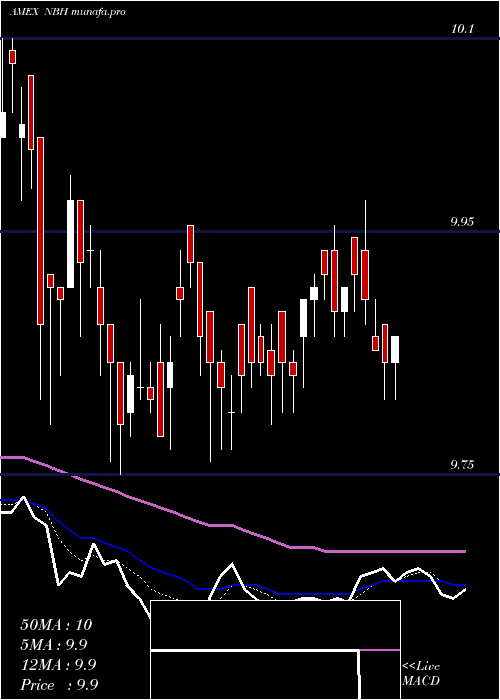  Daily chart NeubergerBerman