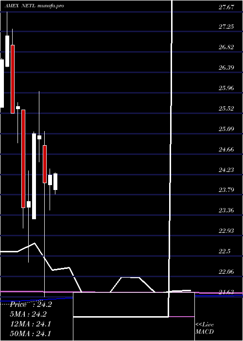  monthly chart NetleaseCorporate