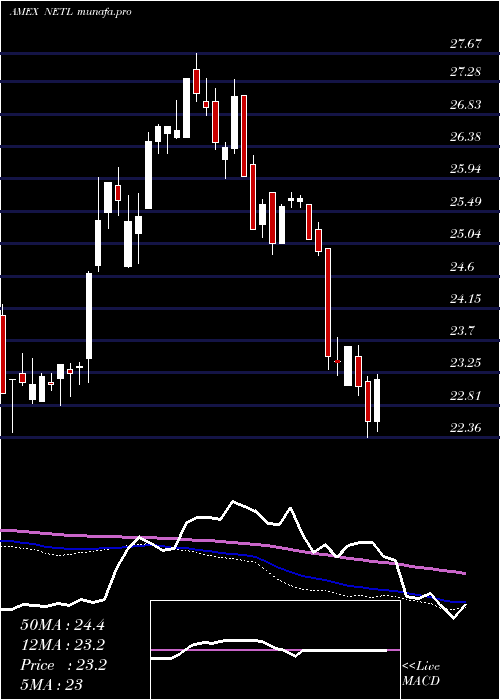  weekly chart NetleaseCorporate