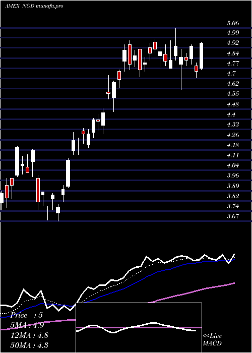  Daily chart NewGold