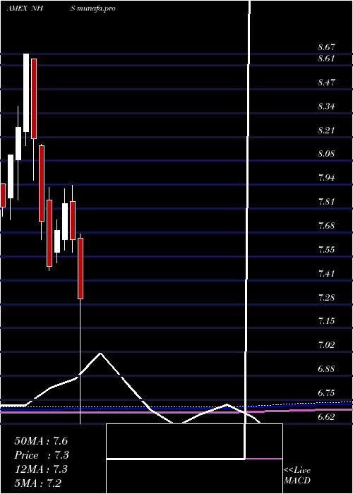  monthly chart NeubergerBerman