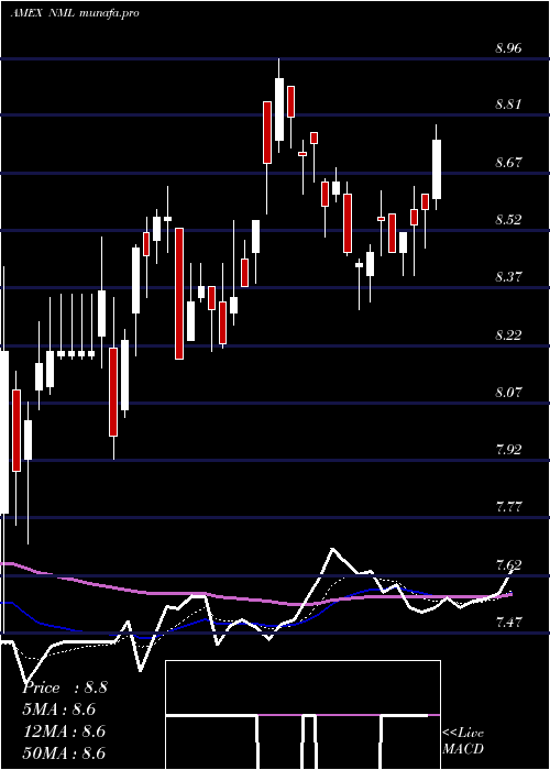  Daily chart NeubergerBerman