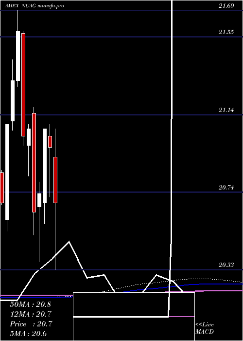  monthly chart NusharesUs