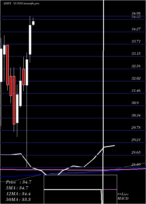  monthly chart NusharesEsg