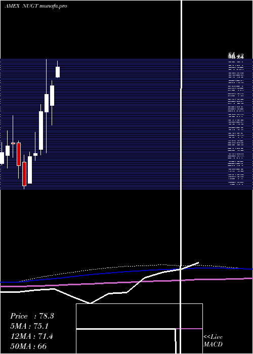 monthly chart GoldMiners