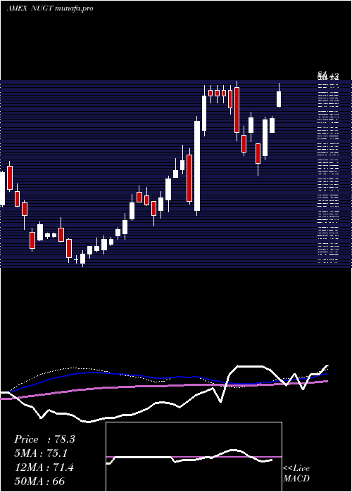 weekly chart GoldMiners